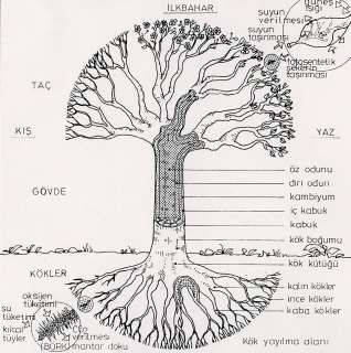 Şekil 2. 1.