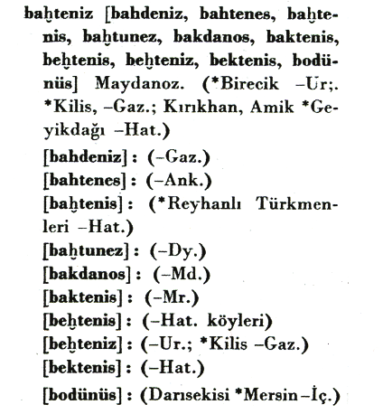 Özkan Öztekten TÜRK DİLİ m li şekiller ise ölçünlü dildeki maydanoz un türevleri olarak başka bölgelerden elde edilmiş (DS IX: 3100): 505