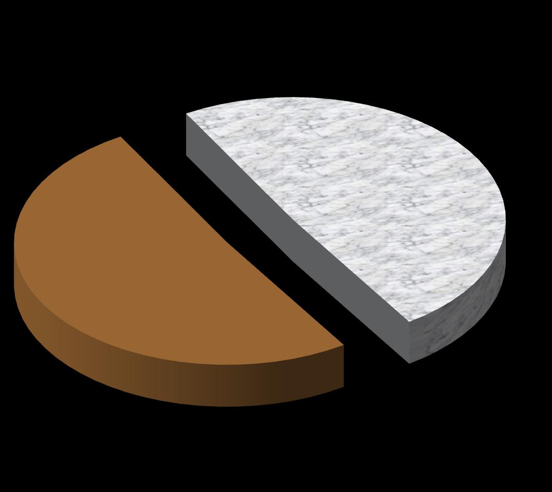 REFERANDUM OY TERCĠHLERĠ Hayır 50,87% Evet 49,13% AKP Seçmeni, CHP nin %7