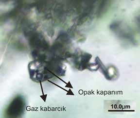 CO 2 kapanımlarda homojenleşme gaz faza olmaktadır.