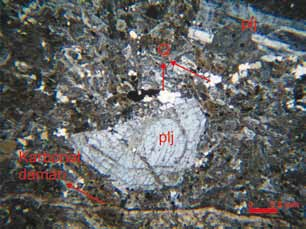 Banu PARLAK, İ. Sönmez SAYILI Diyorit porfir Holokristalin porfirik dokulu olup fenokristal olarak plajiyoklaz, amfibol ve biyotit minerallerini içermektedir (Şekil 6).
