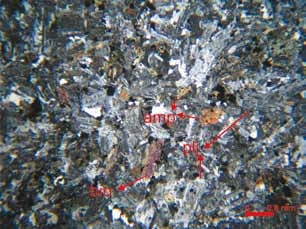 Mafik mineraller, genellikle amfiboller ve/veya amfibol kafa kesitleri sunan minerallerden oluşmaktadır. Bunlar yer yer az ya da çok kloritleşmiş ve/ veya karbonatlaşmıştır.