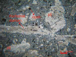 Andesite (plane polarized) ((plj: plagioclase, amp: amphibole) (Sample Nr: BA- 27).