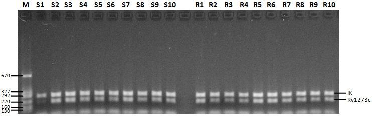 Bu sonuçlara göre, çoklu ilaç dirençli M.tuberculosis suşlarındaki Rv1258c