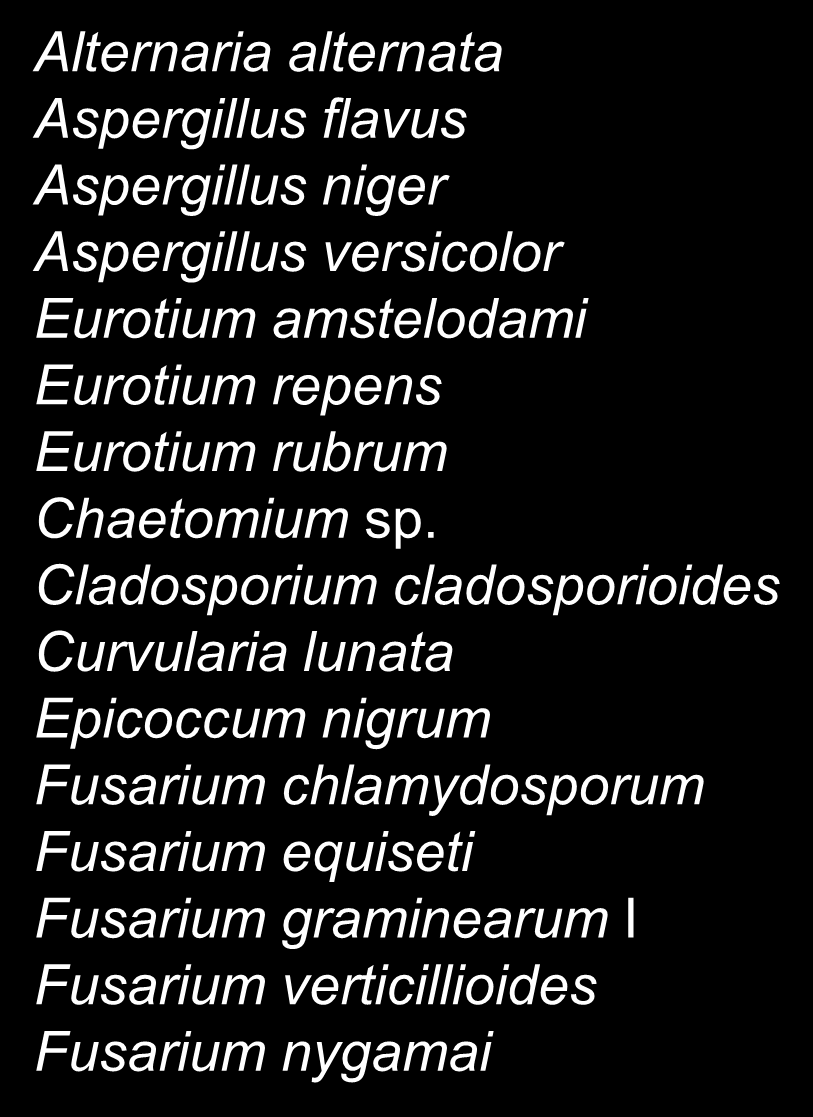 BUĞDAYDAKİ TOKSİJENİK KÜF Alternaria alternata Aspergillus flavus Aspergillus niger Aspergillus versicolor Eurotium amstelodami Eurotium repens Eurotium rubrum Chaetomium
