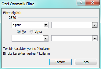 Sayı ve metin filtreleri, belirli koşulları karşılayan değerleri bulmak için ölçütlerin kullanımına olanak tanır.