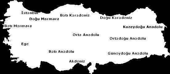 ???? "Düzey 1" İstatistiki Bölge Birimleri ise