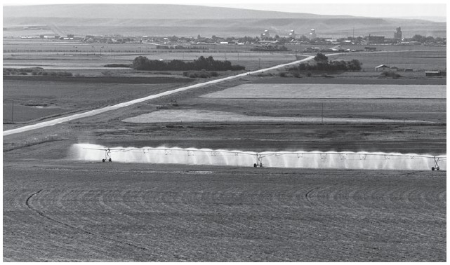 1950-c illərdə mərkəzi-pivot irriqasiya sisteminin inkişafı ABŞ-ın qumlu və quru ərazilərində rentabelli böyük fermer təsərrüfatlarının formalaşmasına imkan yaratdı.