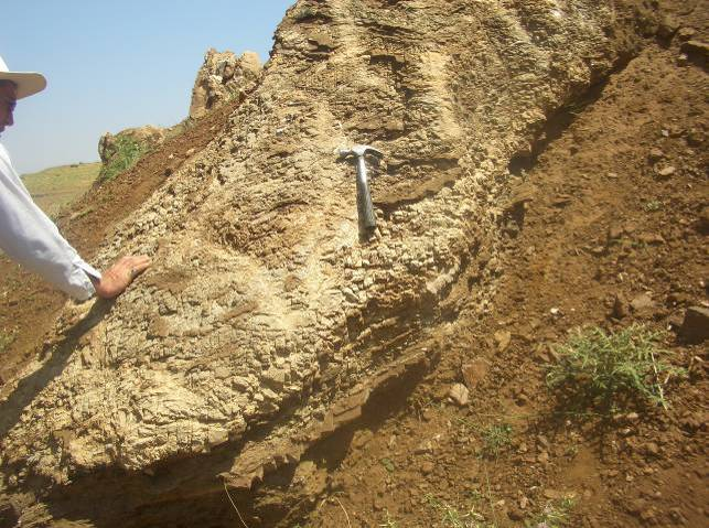 29 Meydan Formasyonu içinde rekristalize, yer yer dolomitik kireçtaşı yaygın olarak yüzeylenmektedir.