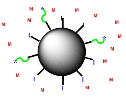 17 Şekil 2.9. Yüzey modifikasyonunda -ile aşılama yaklaşımı 2.2.2. -dan aşılama Yaklaşımı ile Kovalent Bağ -dan aşılama yöntemi silika yüzeyinde bir başlatıcı katmanın oluşmasını (I) ve devamında monomerin polimerizasyonunu (M) kapsar (Şekil 2.