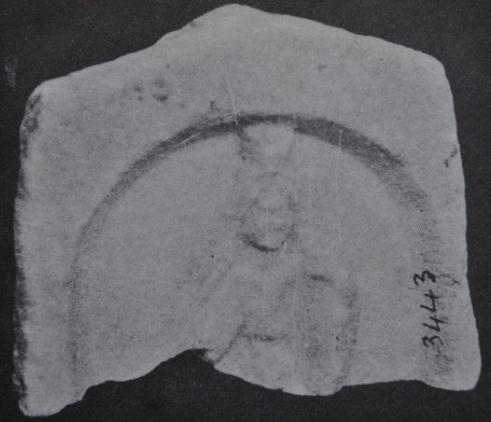 Tarih: İ.Ö. 3. yüzyıl. Tanım : Adak Steli. Eserin alt kısmı kırıktır. Bir niş içerisine yerleştirilmiş olan figür khiton ve himation giymektedir.