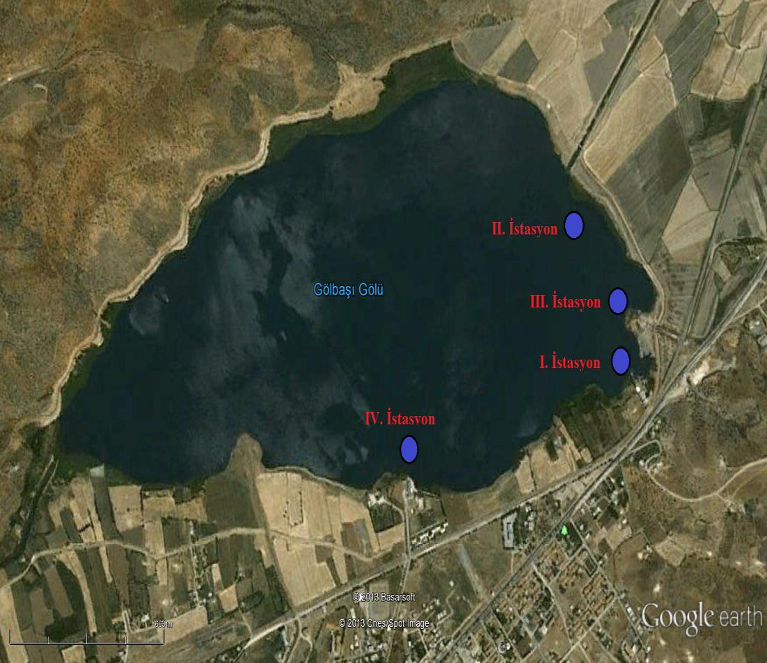 3. MATERAL METOT 3.1. Örnek Alma İstasyonları İlk istasyon bölgesi olarak gölün doğu kısmı olan gölbaşı gölü milli park girişinin olduğu bölgedir (Şekil 3.2, Şekil 3.3).