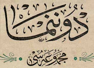 Ayrıca Tahsin Efendi den divânî ve celî divânî yazılarını da meşk ederek tüm yazı çeşitlerinden icâzetnâme aldı. Daha sonra Ebüzziya Tevfik Bey den kûfî yazının kâidelerini de öğrenmiştir.