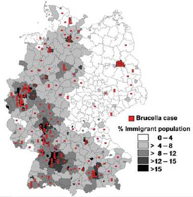 Almanya da 1962-1980 arası bruselloz insidansında azalma var. Saptanan olguların çoğu mesleksel Son yıllarda Almanya daki Türkler arasında artış var Türkler arasında 0.