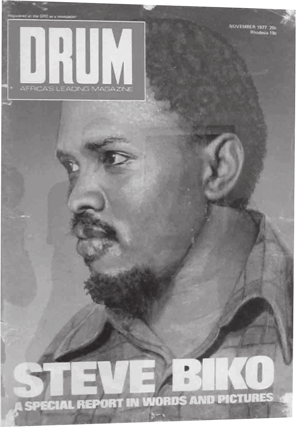 Steve Biko Biko, bir alt orta tabaka ailesi içinde büyüdü.