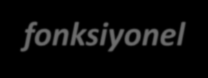 Denetim Komitesi ve İç Denetimin Konumu İç Denetim Yöneticisi (CAE) fonksiyonel olarak kime raporlamaktadır?