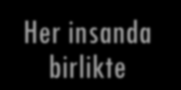 birlikte