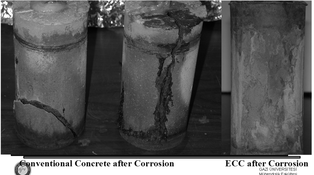 Hızlandırılmış Donatı Korozyonu Geleneksel beton ve ECC numunelerinin korozyon testi sonucu görünüşleri 31 Geleneksel beton 90 saat