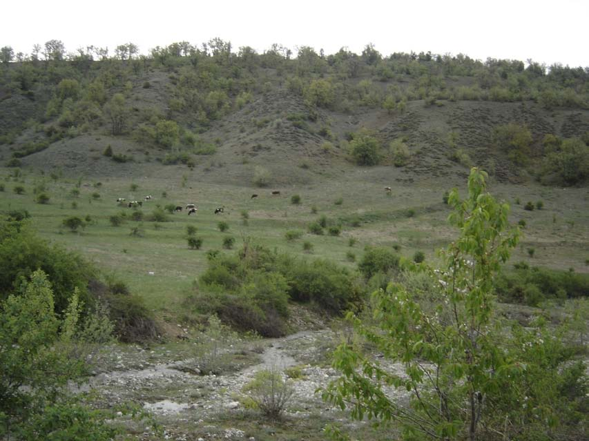 87 Çaylı Köyü ve Kabakköy de, çizgisellikler, dere çökelleri ve tarla sınırlarında ötelenmeler gözlenmiş, hepsinde ölçümler alınmıştır (Şekil 4.29).