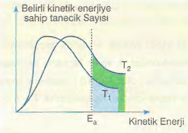 4.Sıcaklık: Sıcaklığın artırılması; 1. Belirli kinetik enerjiye sahip tanecik sayısını artırır. 2.