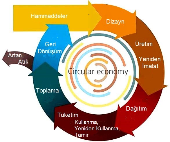 vs  Economy