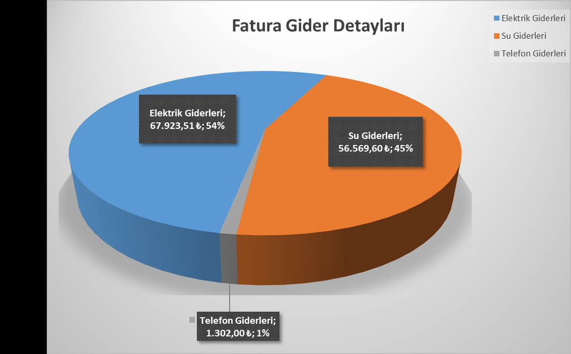 Fatura Gider