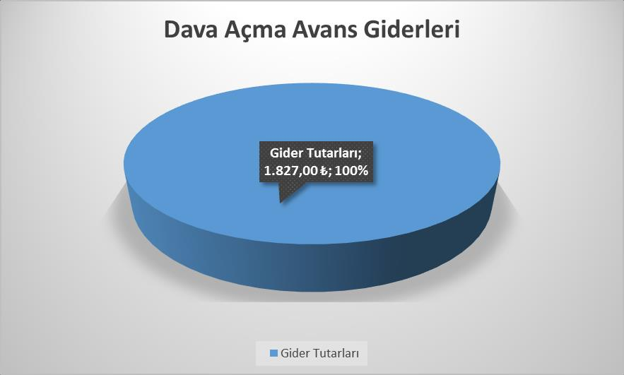 Dava Açma Avans