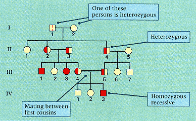 and Analysis, 4.