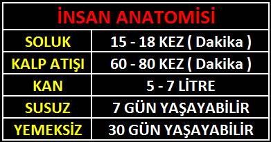 Apopleksi, boğulmadır İNSAN ANATOMİSİ Normal bir insan vücudunda yaklaşık ne kadar kan vardır?