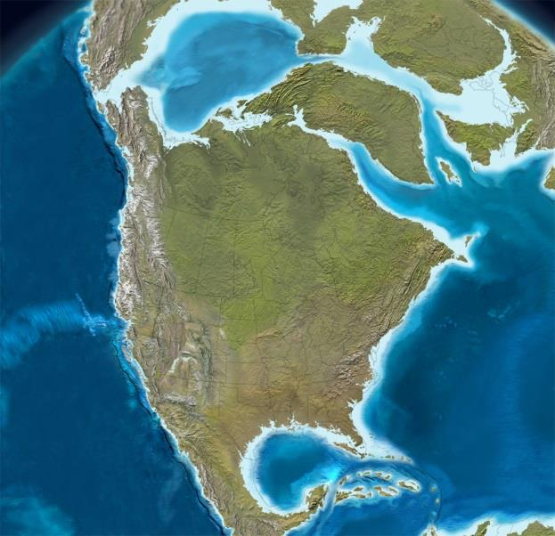KUZEY AMERİKA DA PALEOJEN Paleocene (60My) Kuzey Amerika da Paleojen 4 bölgede incelenmektedir. 1. Atlantik kıyısı: Nummulites içermeyen, pelesipod ve gastropod içeren epikontinental fasiyes, 2.