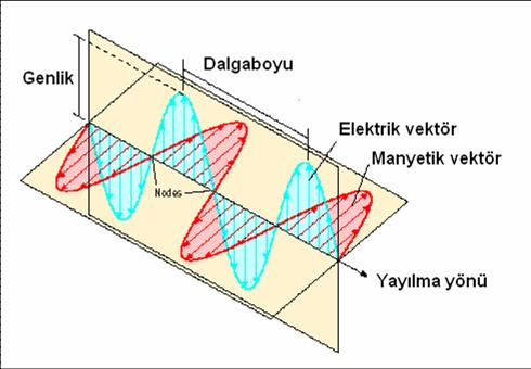 değil, aksine tamamlayan kavramlar olarak alınmalıdır.