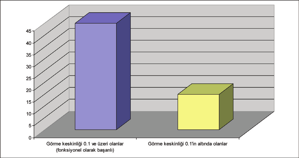 RetVit 2011;19:1621 Akkan ve ark.