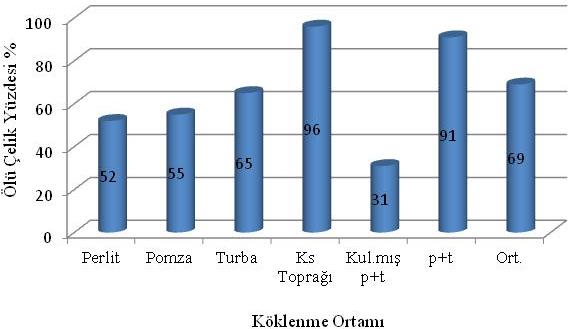 Kallussuz Çelik % si Ölü Çelik % si Köklü Çelik % si Kalluslu Çelik % si Çizelge 2.