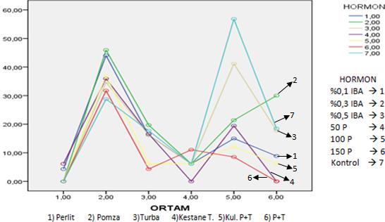 En yüksek köklenme yüzdesini 1. ortamdaki (Perlit) 1. hormon (1000 ppm IBA) göstermiştir. Bunu ise 1. ortamdaki (Perlit) 2. hormon (3000 ppm IBA) takip etmiştir.