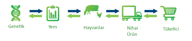 «Ham maddelerin daha hassas şekilde analiz edilerek besinsel içeriklerinin belirlenmesi ve yem üretiminin optimize edilmesi üreticiler için çok önemli hale gelmektedir.