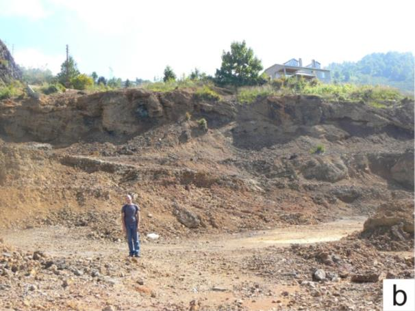 ayrışma sonucu gelişen ikincil mineral fazlarını içermektedir (Tablo 1).