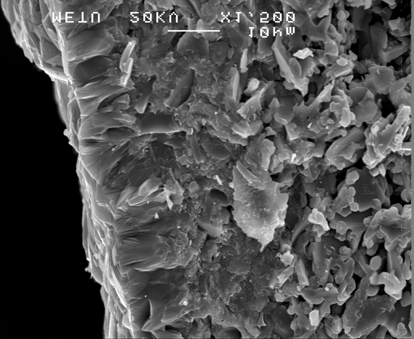 kalınlığına sahip olduğu görülmüştür (Şekil 3). Bu tabaka yaklaşık 5 µm boyunda içiçe büyümüş küp şeklindeki zeolit kristallerinden oluşmaktadır. Zeolit tabaka Alumina destek (a) (b) Şekil 3.
