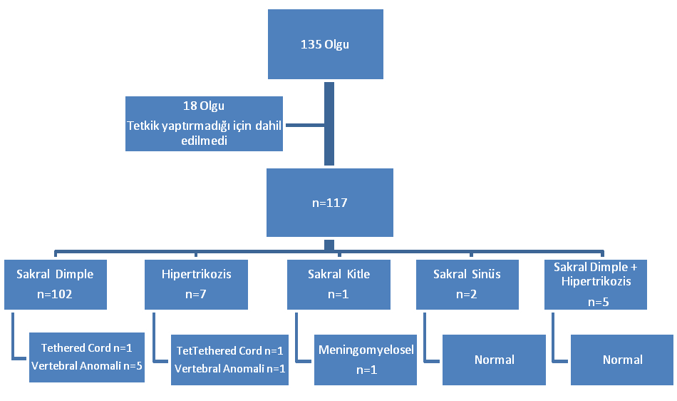 Şüpheli Cilt Bulgusu Saptanan Çocuklarda Okült Spinal Disrafizm Sıklığı: Geriye Dönük Bir Çalışma 87 Şekil 1: Çalışmanın akış şeması. Şekil 2: Olguların yaş dağılımı.