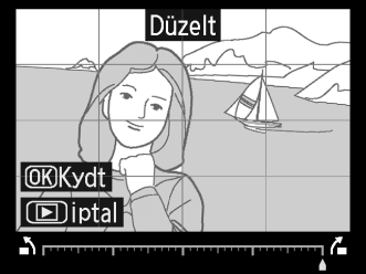 Hızlı Rötuş G düğmesi N rötuş menüsü Gelişmiş doygunluk ve kontrastlı kopyalar oluşturun. D-Lighting, koyu veya arka planı aydınlatılmış konuları aydınlatmak için gerektiği şekilde uygulanır.