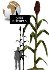 1. GİRİŞ Ömer EREN 1.5. Tatlı Sorgum (Sorghum bicolor (L.) Moench) Bitkisi 1.5.1. Bitkinin Tanımı ve Üretim Amaçları Tatlı Sorgum bitkisi, bilimsel adı Sorghum bicolor L.