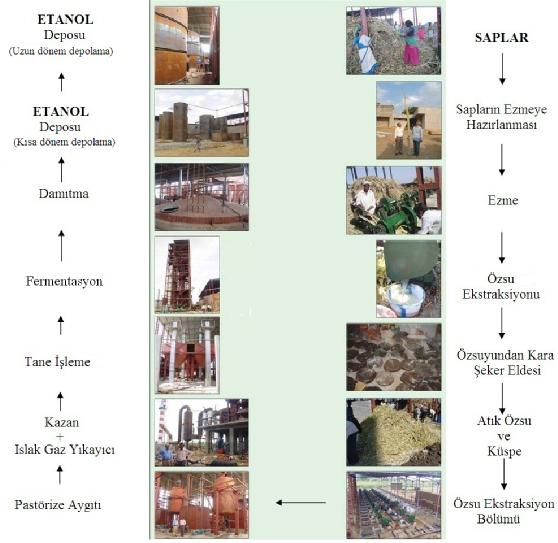 1. GİRİŞ Ömer EREN Şekil 1.31 de, Hindistan da ICRISAT araştırma tesislerinde yer alan tatlı sorgumdan etanol üretim tesisi gösterilmiştir.