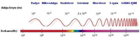 2.2.2 Kanatlı yemlerinde gama ışınlama uygulaması Gama ışını; radyoaktif bozunum (alfa veya beta) yapmış veya bir nükleer reaksiyondan sonra ortaya çıkan ürün çekirdeğin, ikinci bir bozunum ile bir