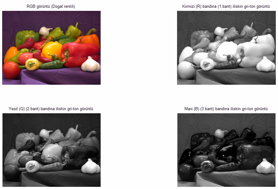 Şekil 1.9. Doğal renkli bir görüntü ve bu görüntüye ait RGB bantlarına ilişkin gri-ton görüntüler Yrd.