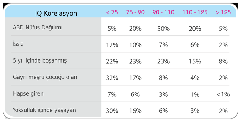 Zeka Nedir ve IQ Nedir?