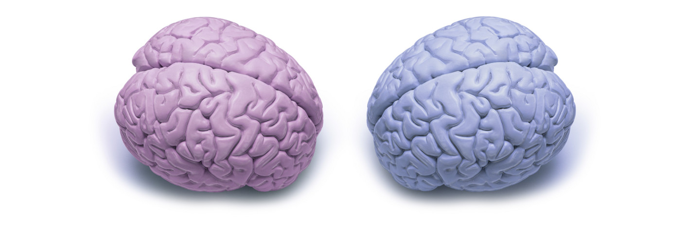 IQ Testinin altında yatan psikoloji 422 Cinsiyet Ayarı IQ seviyenizi cinsiyet bazında da düzenlemekteyiz Daha önce bahsettiğimiz gibi, erkekler ve kadınlar arasında ortalama IQ aslında aynıdır Ancak