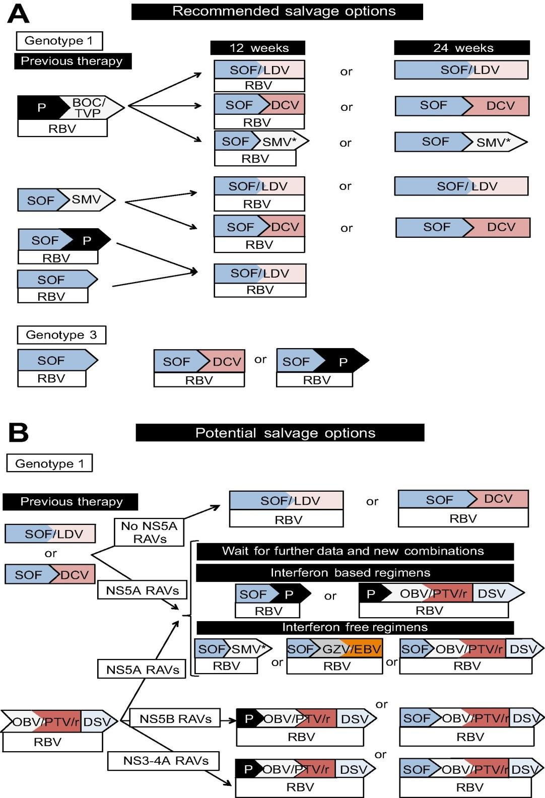 Fig. 4 «Management of direct acting