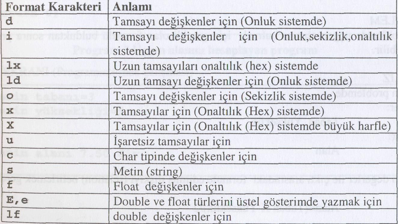 Girdi metin formatının (format string) içerisine yertutucular