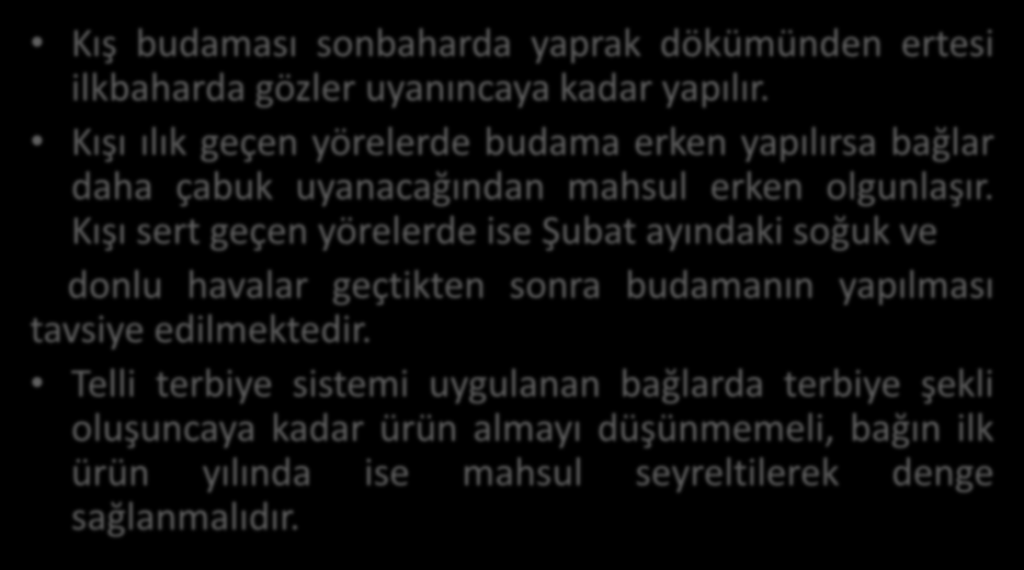 Ürün (Kış) Budaması Kış budaması sonbaharda yaprak dökümünden ertesi ilkbaharda gözler uyanıncaya kadar yapılır.