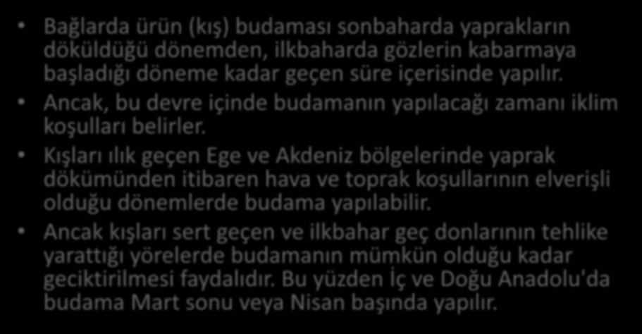 Budama Zamanı Bağlarda ürün (kış) budaması sonbaharda yaprakların döküldüğü dönemden, ilkbaharda gözlerin kabarmaya başladığı döneme kadar geçen süre içerisinde yapılır.