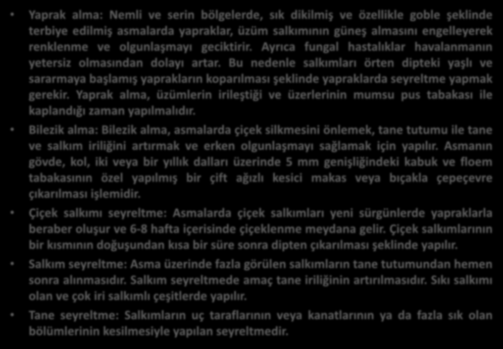 Yaprak alma: Nemli ve serin bölgelerde, sık dikilmiş ve özellikle goble şeklinde terbiye edilmiş asmalarda yapraklar, üzüm salkımının güneş almasını engelleyerek renklenme ve olgunlaşmayı geciktirir.